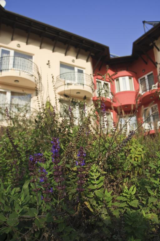 Szonyi Garden Hotel Pest Budapeste Exterior foto