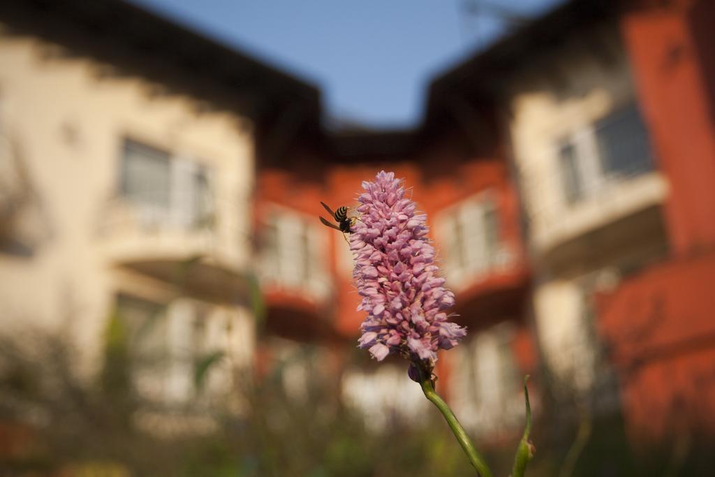 Szonyi Garden Hotel Pest Budapeste Exterior foto
